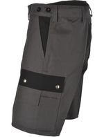 Shorts zweifarbig