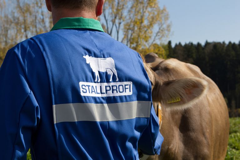 Markenidentität & Corporate Fashion